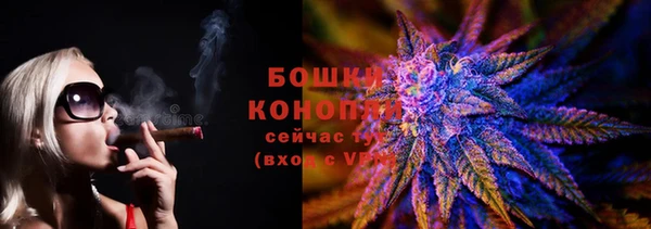 гидра Верея
