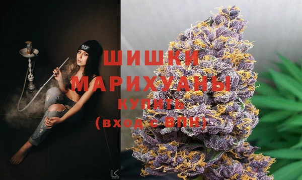 гидра Верея