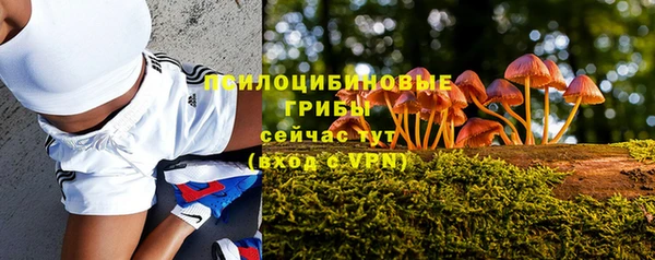 дмт Верхний Тагил