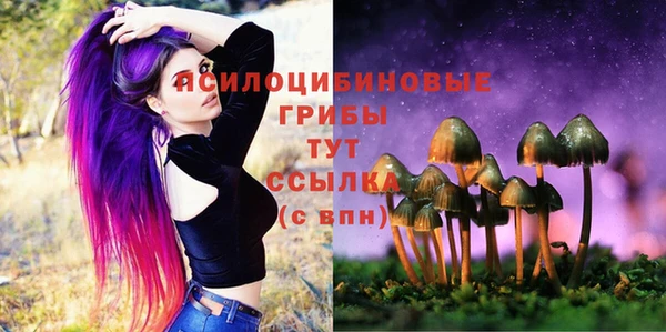 гидра Верея