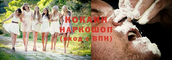 гидра Верея