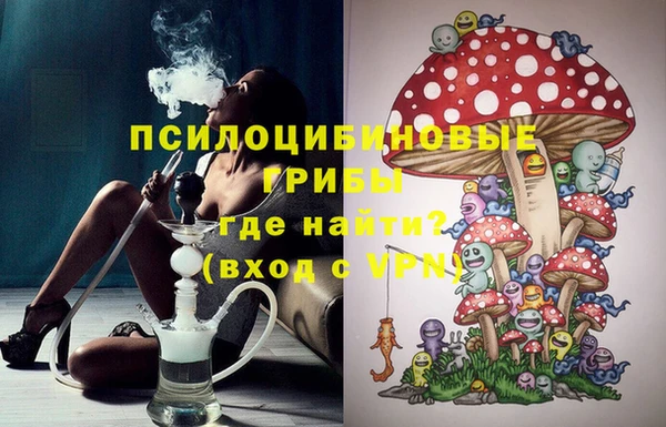 гидра Верея