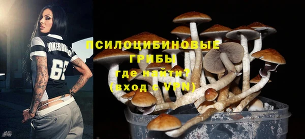 гидра Верея