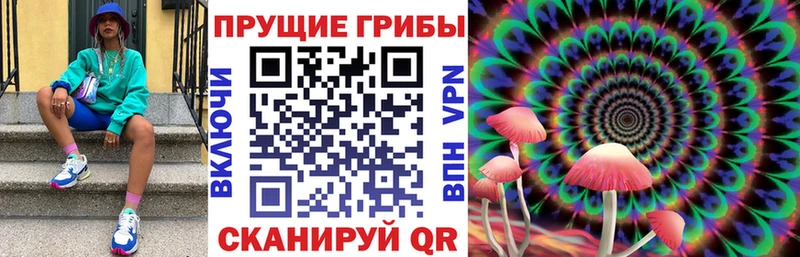 сколько стоит Находка Галлюциногенные грибы мухоморы
